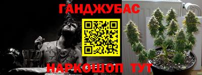 дмт Братск
