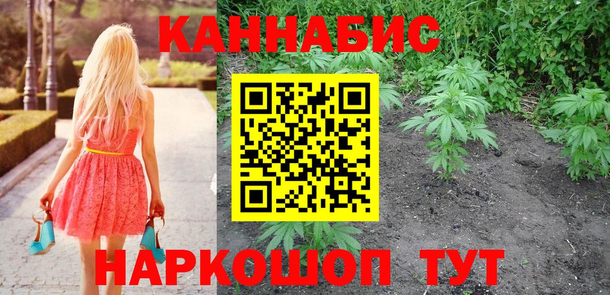 Каннабис ГИДРОПОН Зеленогорск